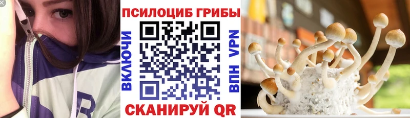 Галлюциногенные грибы MAGIC MUSHROOMS  Купить закладки  Конаково 